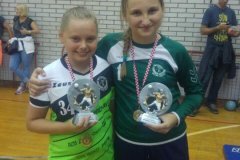 7. Kup Jabuke - 2017